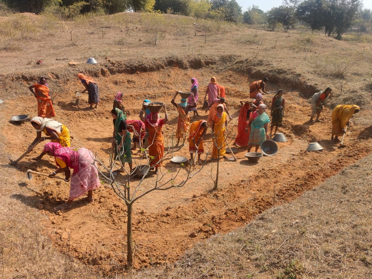Environment & Climate Action
